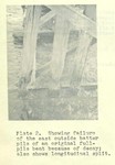 3763_002.JPG