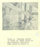 3763_003.JPG