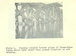 3763_004.JPG
