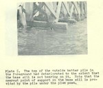 3763_005.JPG