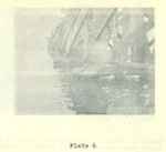 3763_006.JPG