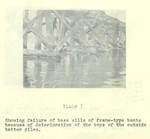 3763_007.JPG